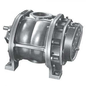 Roots AF Rotary Positive Blowers